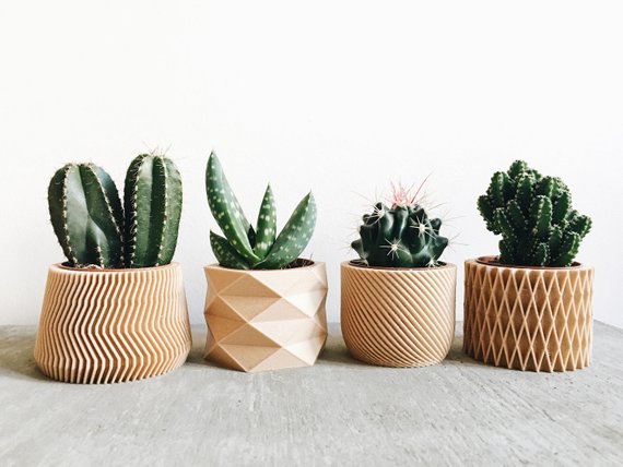 Set vasi fioriera cactus creativi stampati  3D in legno - idee decoro ufficio